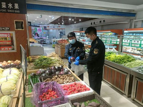 鄂托克旗市場(chǎng)監(jiān)督管理局啟動(dòng)食用農(nóng)產(chǎn)品“治違禁、控藥殘、促提升”專項(xiàng)治理行動(dòng)